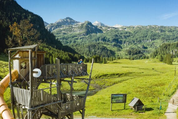 Alles Alm - Sommerurlaub auf der Gnadenalm
