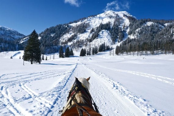 Pferdeschlittenfahrten - Winterurlaub in Radstadt, Salzburger Land